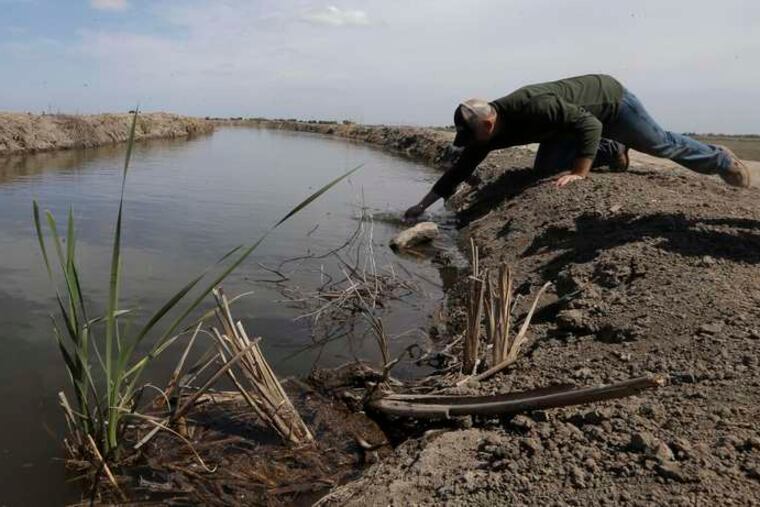 Gino Celli draws a water sample to check salinity in an irrigation canal in his fields near Stockton. Many delta farmers hold some of California's strongest water rights.