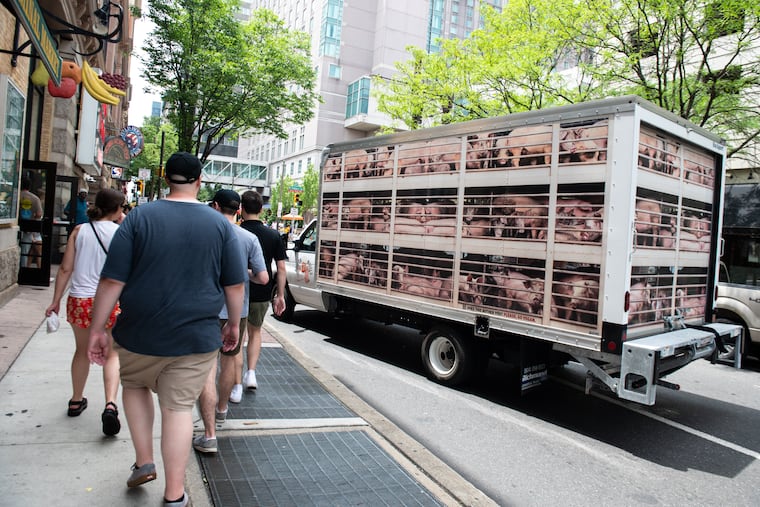 A PETA truck depicting images and playing sounds of pigs being transported to slaughter parked outside of Reading Terminal Market on Saturday. The event, called “Hell on Wheels,” aims to prevent the slaughtering of animals and minimize the harsh conditions in which they are kept.
