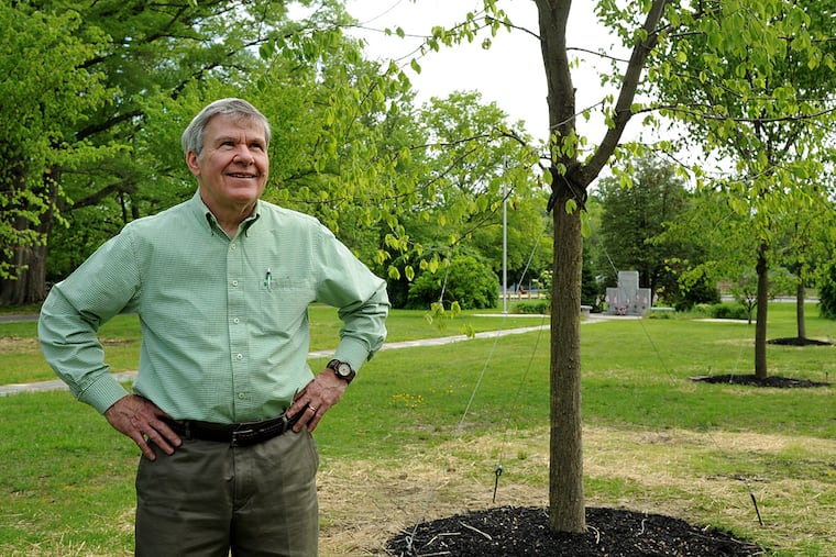 John Gibson, chairman of the Moorestown tree planting and preservation committee, in Memorial Park.