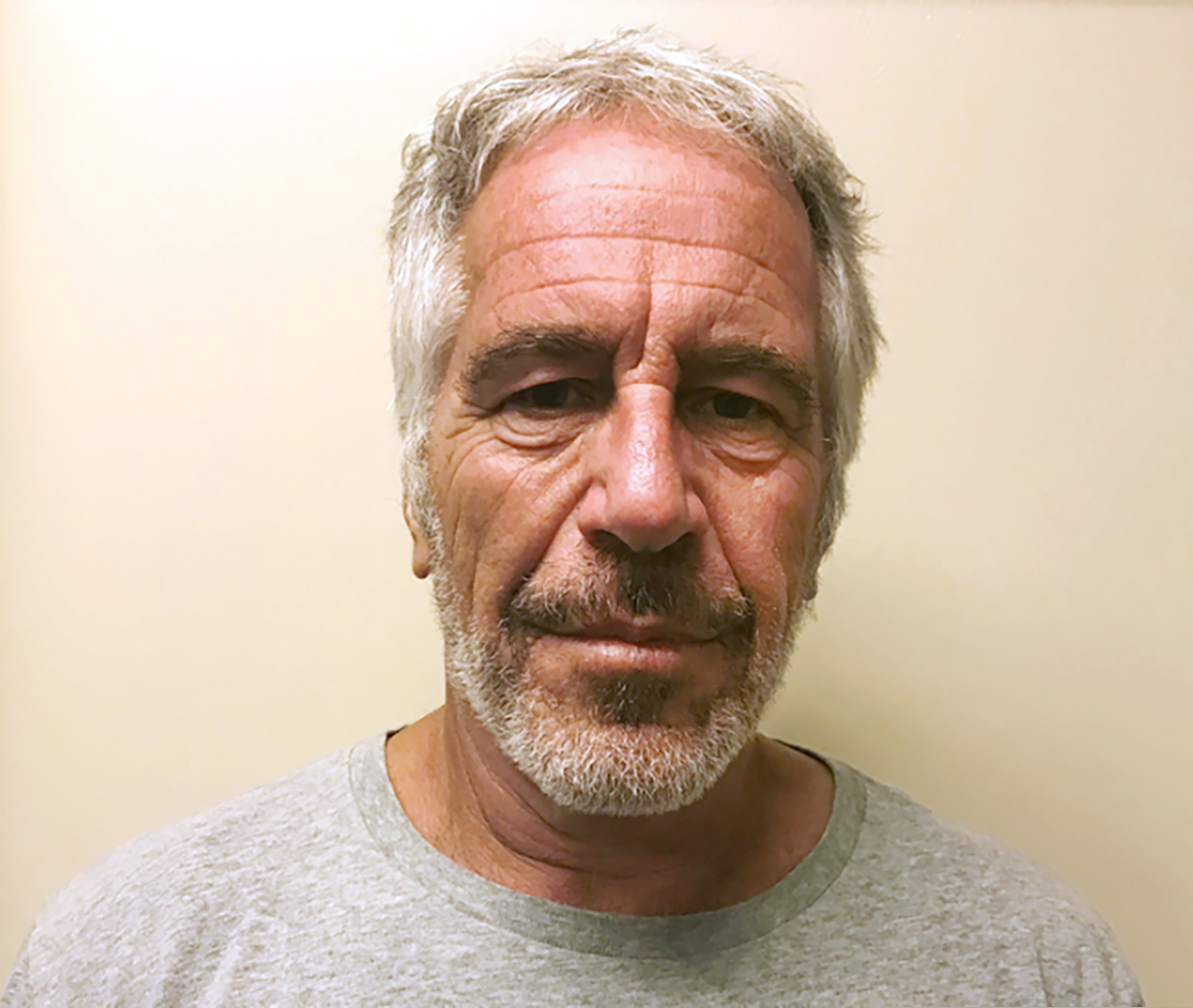 Jeffrey Epstein, seen in a March 28, 2017 photo provided by the New York State Sex Offender Registry