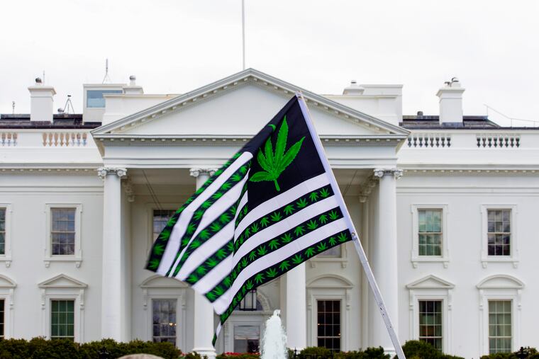 A demonstrator waves a flag with marijuana leaves depicted on it during a protest calling for the legalization of marijuana, outside of the White House on April 2, 2016, in Washington.