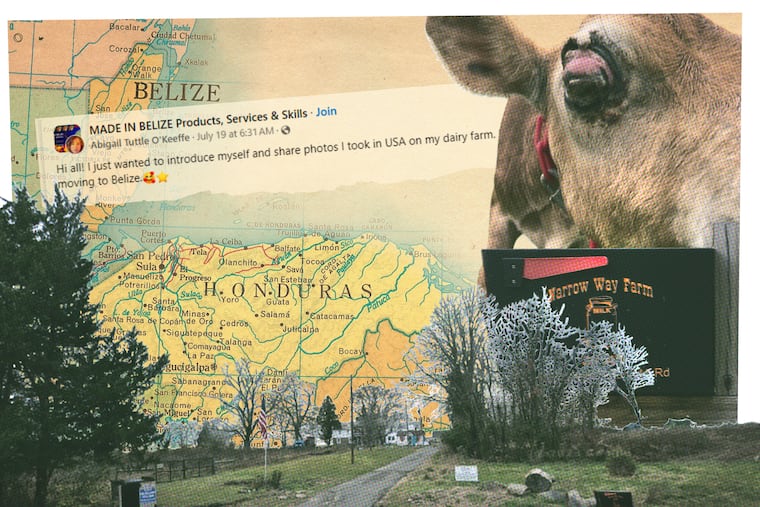 A photo collage illustration on Narrow Way Farm in Wrightstown, whose owner could face more than 100 charges of animal abuse and neglect after the Bucks County SPCA removed 124 sick and malnourished animals from her property, along with drugs and guns.