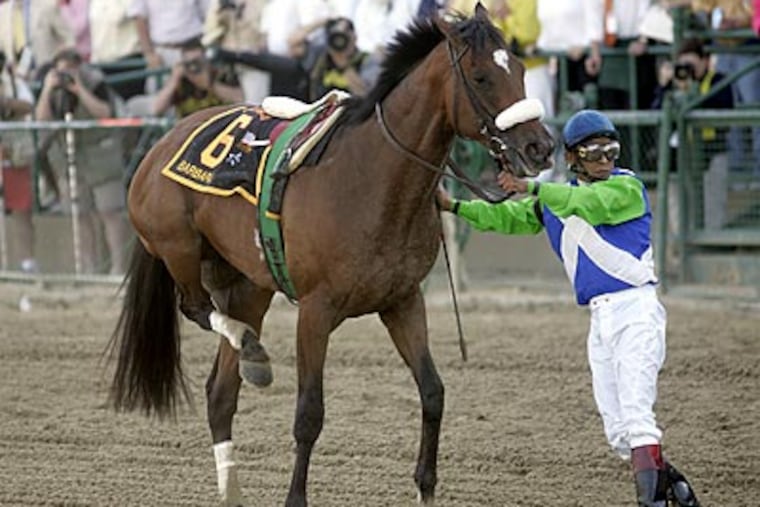 Memories of Barbaro's ill-fated Preakness run are still fresh for many horse racing fans. (AP file photo)