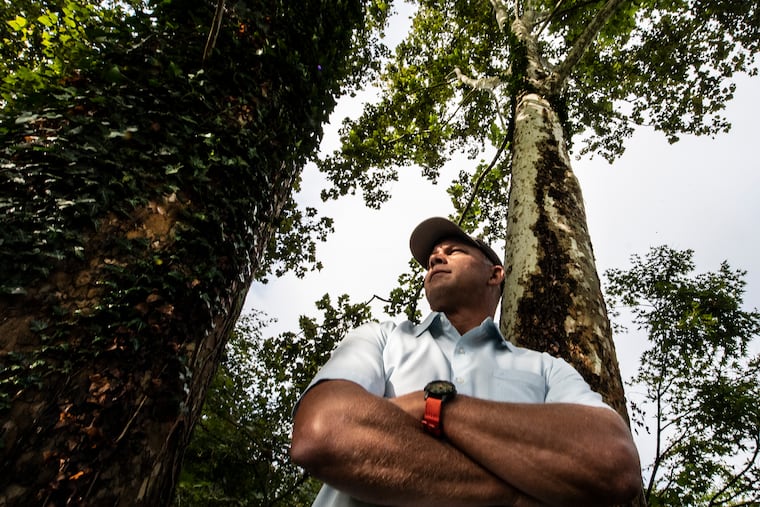 John Hosbach poses for a photograph near a wooded area in Radnor. Hosbach is on a mission to educate others about fatalities caused by trees. In some of those cases, particularly in the leafy Philadelphia suburbs, they wind up in court, where Hosbach, an expert witness in tree fatalities, is sometimes called to testify.
