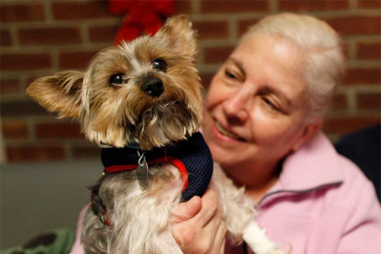 Scrappy gets ready to return home with owner Cynthia Gamba after an overnight hospital stay. The Yorkshire terrier had had a bad drug reaction.