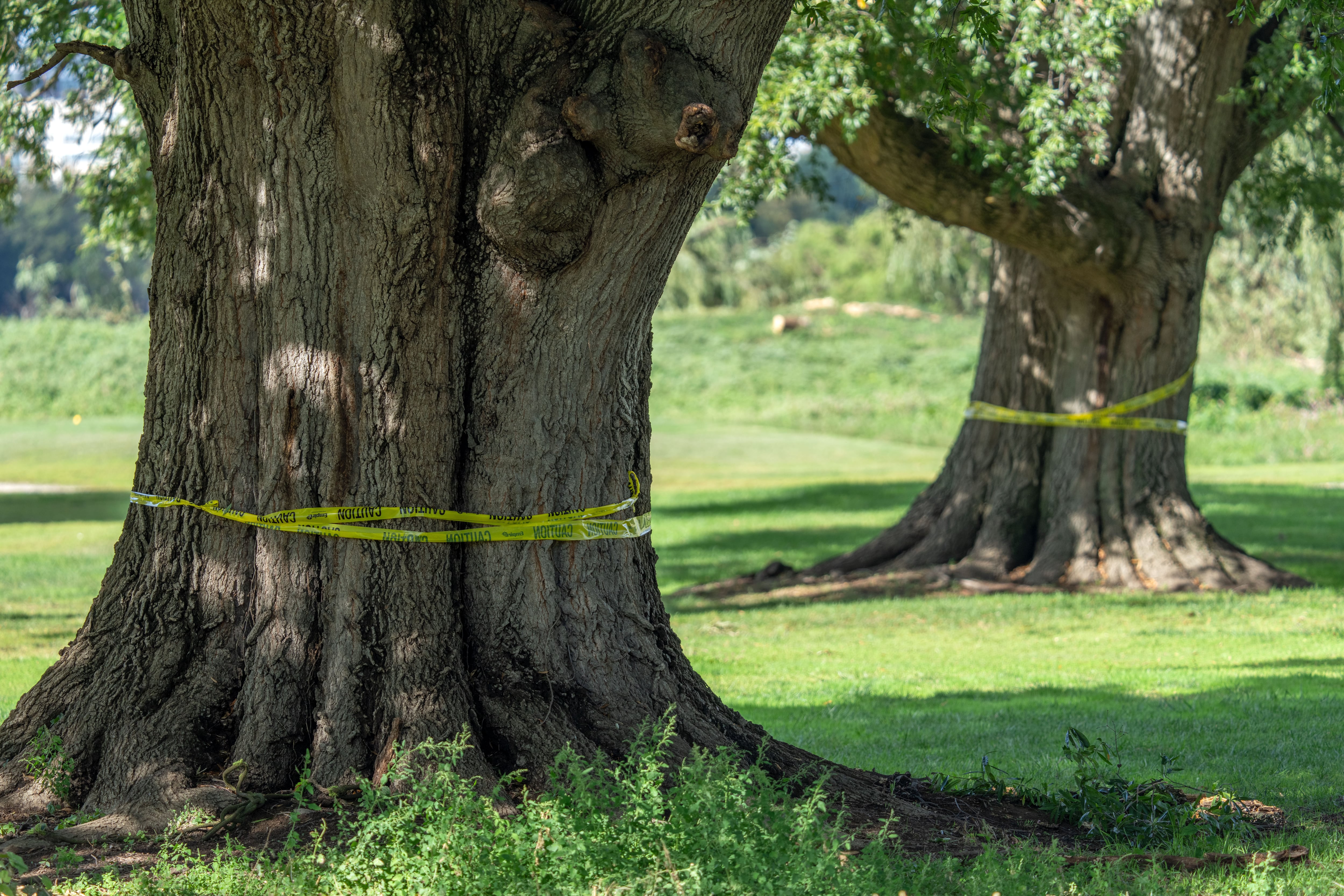 Federal judge orders Trump administration to halt work on historic DC golf course until Oct. 26