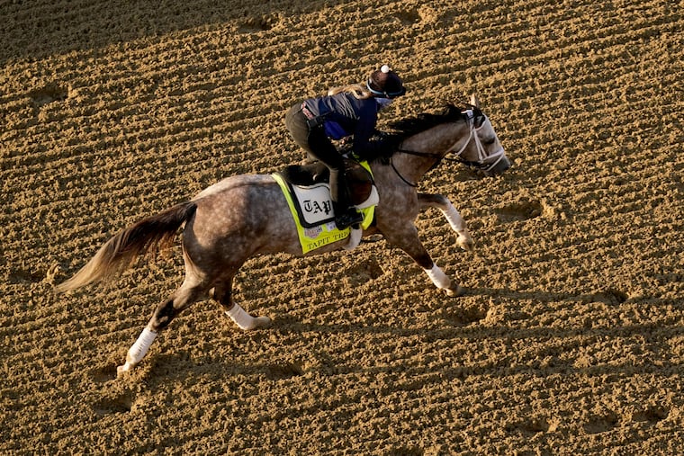Kentucky Derby entrant Tapit Trice works out at Churchill Downs on Thursday.