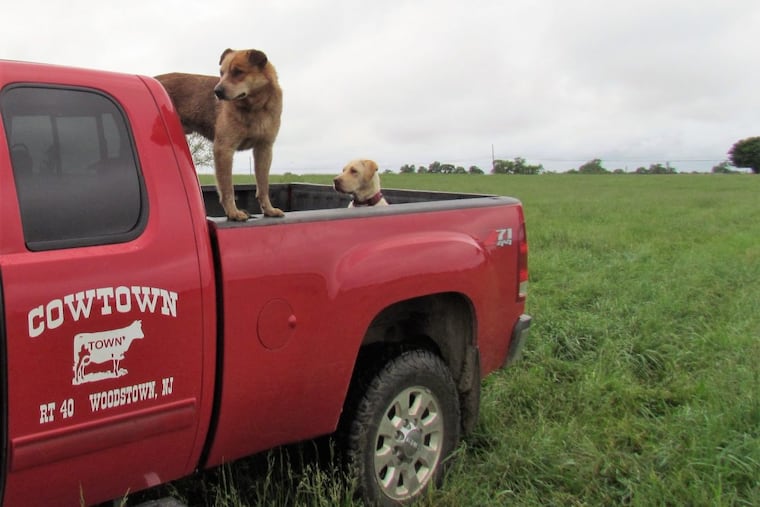 Preserving the grasslands near Cowtown Rodeo took a number of years and agencies.