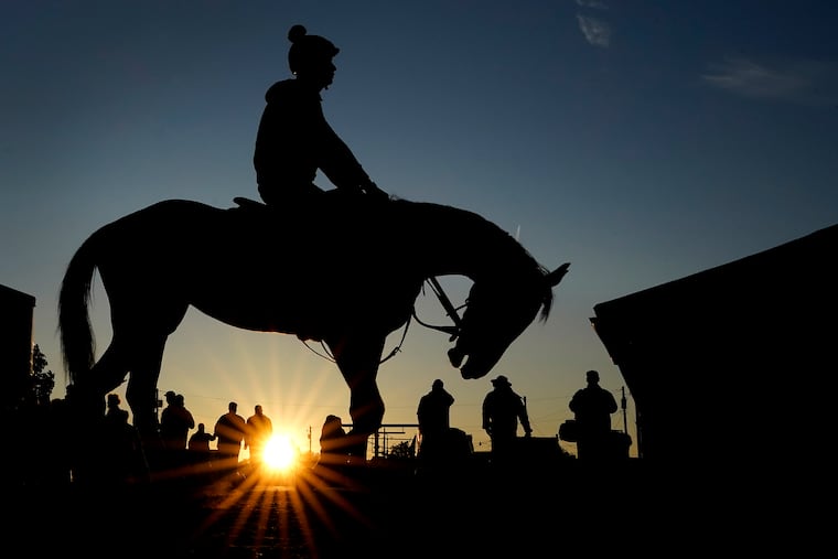 A horse comes off the track after a workout as the sun rises at Churchill Downs on Wednesday in Louisville, Ky. The 149th running of the Kentucky Derby is scheduled for Saturday.