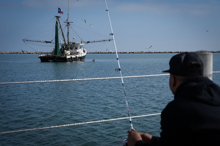 A fishing boat works just offshore in the Corpus Christi Bay on Thursday, Nov. 16, 2023, in Corpus Christi, Texas.