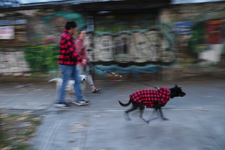 A couple walks their dogs after leaving their home because of an earthquake that was felt in Mexico City on Friday.