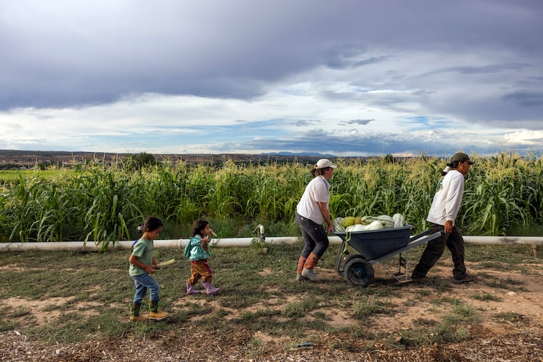Farmers struggle to get basic services from depleted Agriculture Department Farmers struggle to get basic services from depleted Agriculture Department
