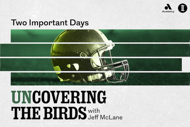 unCovering the Birds: Two Important Days