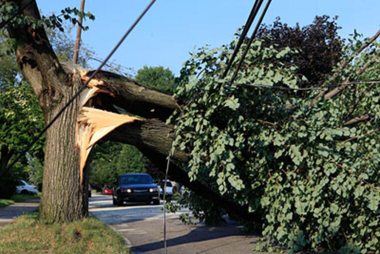 A car stops before turning around in front of a tree damaged by a powerful storm which lies tangled in power lines on a residential street in Havertown, Pa. Thursday. (AP Photo / Jacqueline Larma)