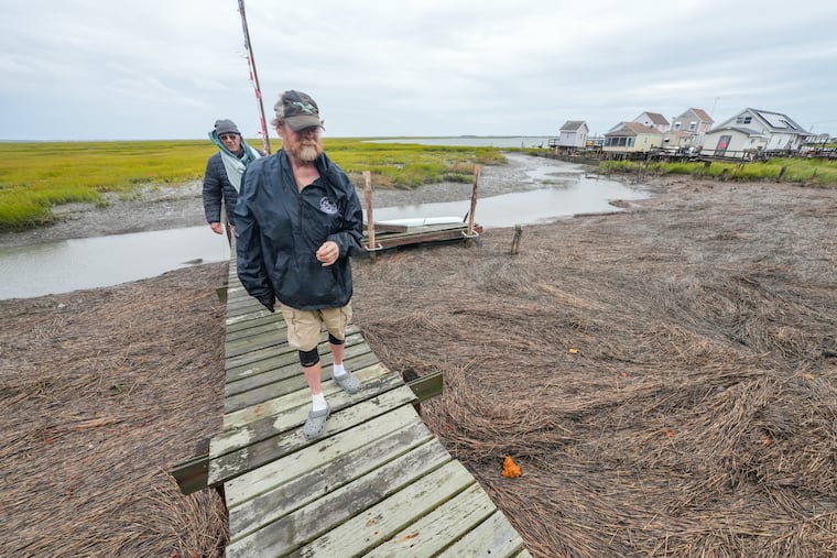 Haldy Gifford (rear) and Tom Hunt, both residents of the Grassy Sound community, walk along a pier surrounded by by dead grass, known as wrack, along Grassy Sound.