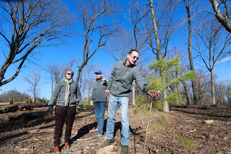 Joan Blaustein, director of urban forest and eco-system management , Curtis Helm, project manager and Tom Witmer, operations manager, from left to right, walk through a revamped part of Cobbs Creek.