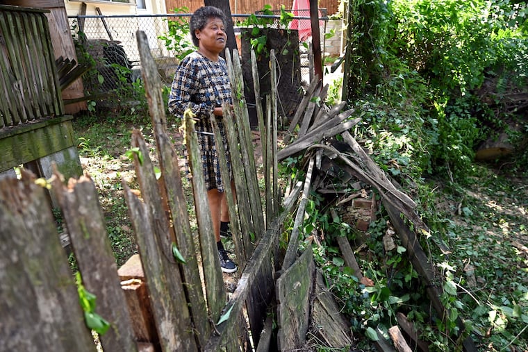 Linda Smalley surveys the damage to her fence and the adjoining yard, now that she can stand in the backyard of her Germantown home. A tree that fell in 2016 was finally removed on Wednesday.