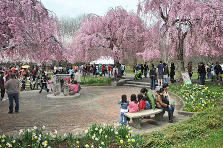 Fairmount Park, which has been selected for praise by a national travel guide, needs applicants for its board. The deadline is Wednesday. (Maria Pouchnikova / Staff Photographer)