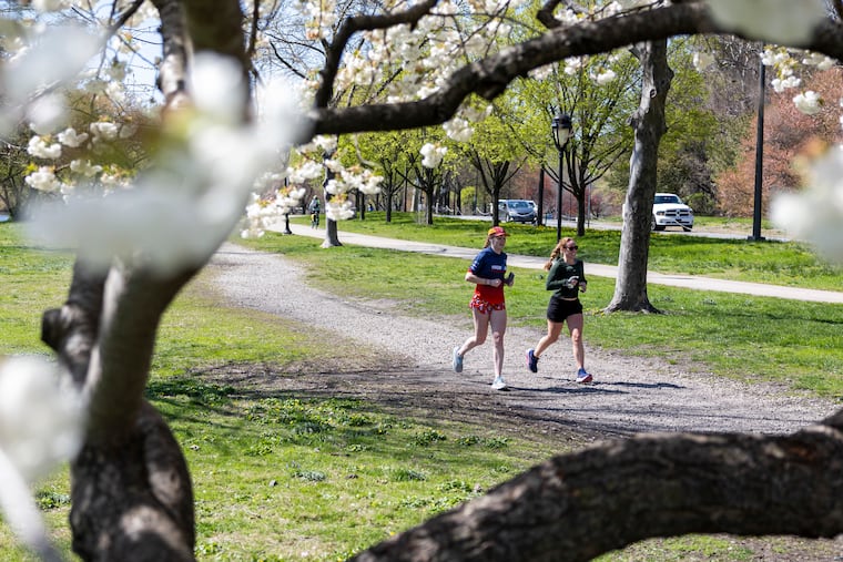 Two runner enjoy April warmth last year during a run on Kelly Drive. Runners may work up quite a sweat this week as temperatures are expected to reach record levels.