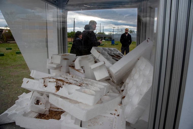 Mealworms eat Styrofoam packaging e-waste inside the "Bio-Informatic Digester" by Terreform ONE on Earth Day.