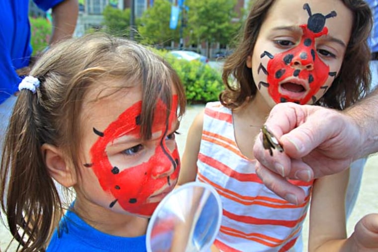 Sasha, 3, left, and Zoe Jackson, 5, of Philadelphia check out a moth as they take part in a guided bug walk on Logan Circle on Aug. 9, 2014. The annual Bug Fest at the Academy of Natural Sciences of Drexel University showcases insects that are both works of art and amazing mini-beasts of nature. Visitors had the chance to observe hundreds of live insects, admire bug jewelry, watch bugs create artworks, and sample foods made with insects. ( CHARLES FOX / Staff Photographer )