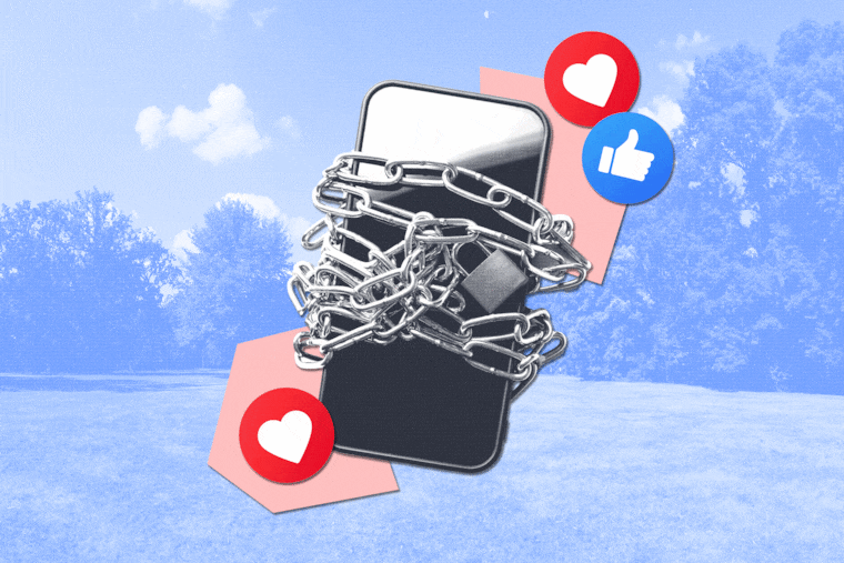 Photo illustration of a locked phone behind a nature background