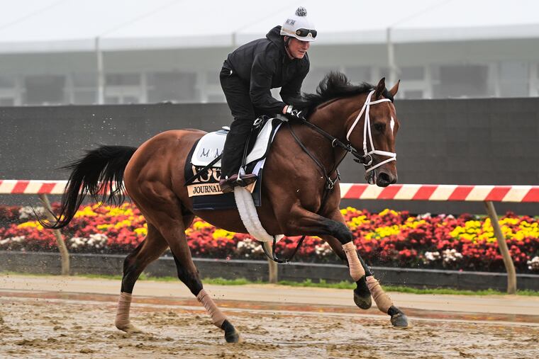 Preakness Stakes favorite Journalism works out at Pimlico Race Course on Thursday.