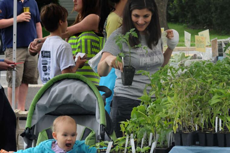 At Parkwood market, Christina Owens picks plants at Taproot Farm stand while Lilly, 16 months, amuses herself. (April Saul/Staff Photographer)