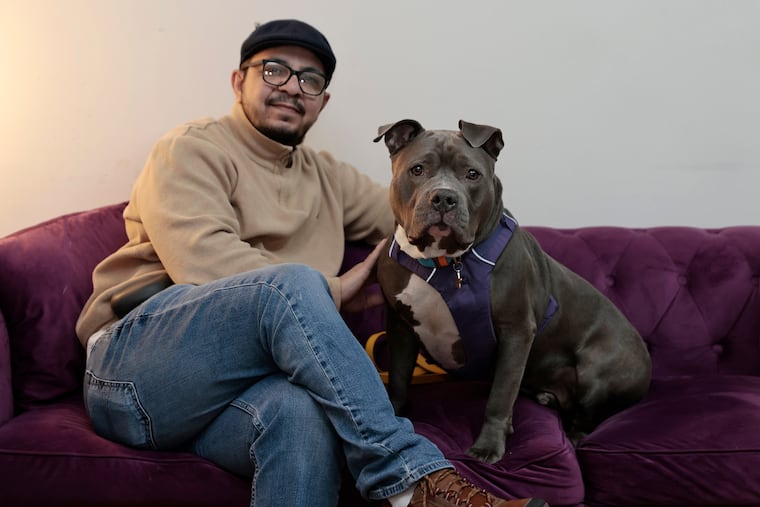 New Leash on Life senior vice president of programs Rob Rosa and 4-year-old pit bull Junior in a New Leash on Life office in Philadelphia on Wednesday, April 3, 2024. Junior is head of morale at New Leash on Life.