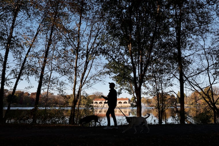 A walker strolls past Edgewood Lake at FDR Park in South Philadelphia with their dogs in November.
