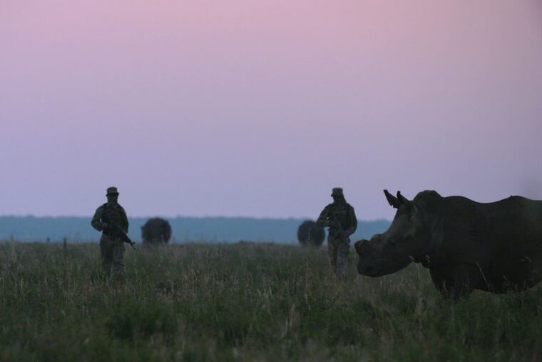 “Trophy,” a film that focuses on the intersection of hunting and conservation, opens Friday at the Prince Theater on Chestnut Street.