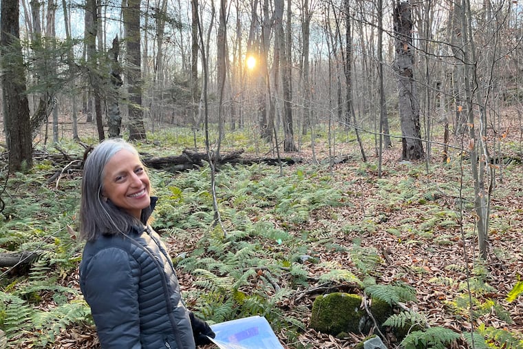 Mary Blondy, of The Loyalsock Foundation, envisions a state-of-the art wellness center, with a pool and meditation area, in rural Sullivan County.