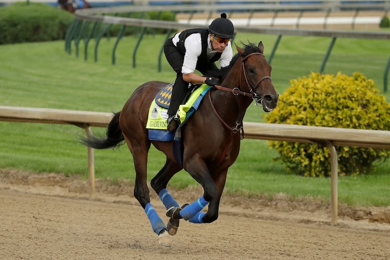 Game Winner, one of the favorites for Saturday's Kentucky Derby, gets in a workout at Churchill Downs.