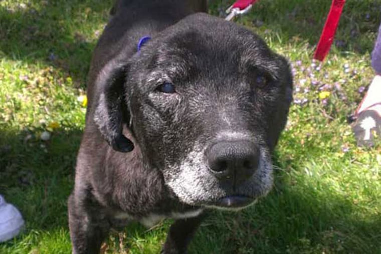 Brooke, who was tied to a rock during an advancing tide, in a happier setting.