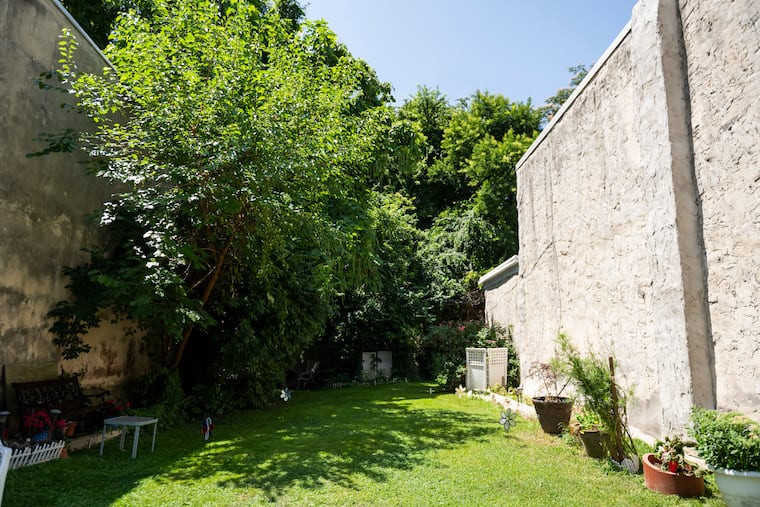 The empty lot next to their home, which the pair uses to garden, growing peppers and cucumbers.