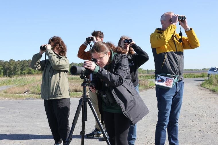 Adryanna Crawford (front) looks for birds in North Dennis, N.J., with her team from St. Vincent College in Latrobe, Pa., during the World Series of Birding on May 9. The 24-hour event, held annually in Cape May County, is the premier birding event in the country, bringing in enthusiasts from all over the world.