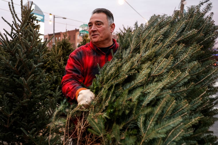 Freddy Florio of Tree World helps a customer with a tree. Open 24 hours a day, Tree World is an institution in South Philadelphia.