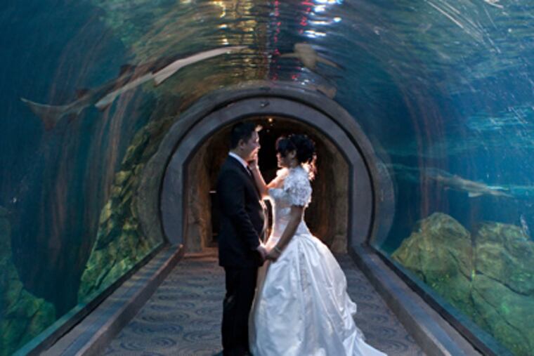 Phuong and Linh in the shark tunnel at the Adventure Aquarium. (Tom Smith Photography)
