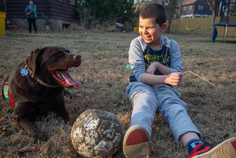 Dylan Gordon sits with his service dog, Rader, at their home in Bala Cynwyd. At age 1 1/2, Dylan was diagnosed with severe autism. After months of waiting, Dylan was matched with Rader, who is able to calm him during stressful times.