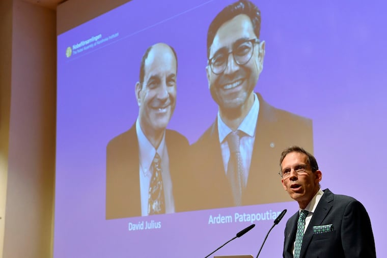 Thomas Perlmann, Secretary of the Nobel Assembly and the Nobel Committee, announces the winners of the 2021 Nobel Prize in Physiology or Medicine during a press conference at the Karolinska Institute in Stockholm. The 2021 Nobel Prize in physiology and medicine has been awarded to David Julius and Ardem Patapoutian (seen on the screen) for their discoveries of receptors for temperature and touch.