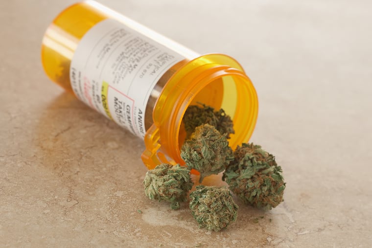 Medical marijuana in a prescription bottle. Gov. Phil Murphy said Wednesday his administration has added opioid addiction to the list of eligible illnesses in New Jersey's medical marijuana program as part of a new push to combat the state's drug crisis. (Dreamstime/TNS)