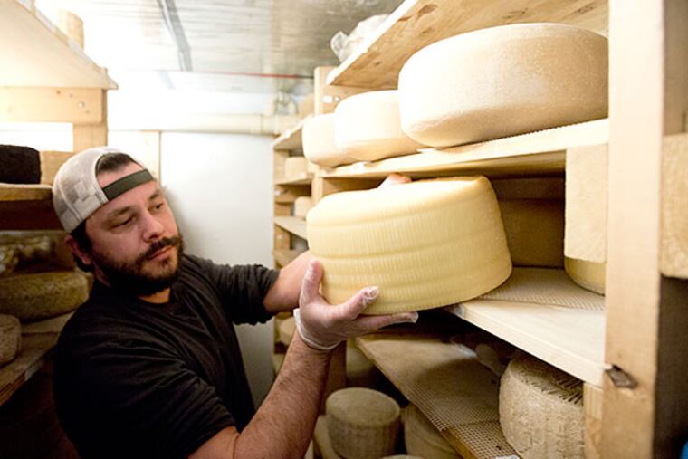 Drew Bristol checks a cheese at a facility at Camphill Village at Kimberton Hills in Phoenixville rented by Birchrun Hills Farm. Many small farmers must increasingly rely on community relationships and higher product quality. DAVID SWANSON / Staff Photographer