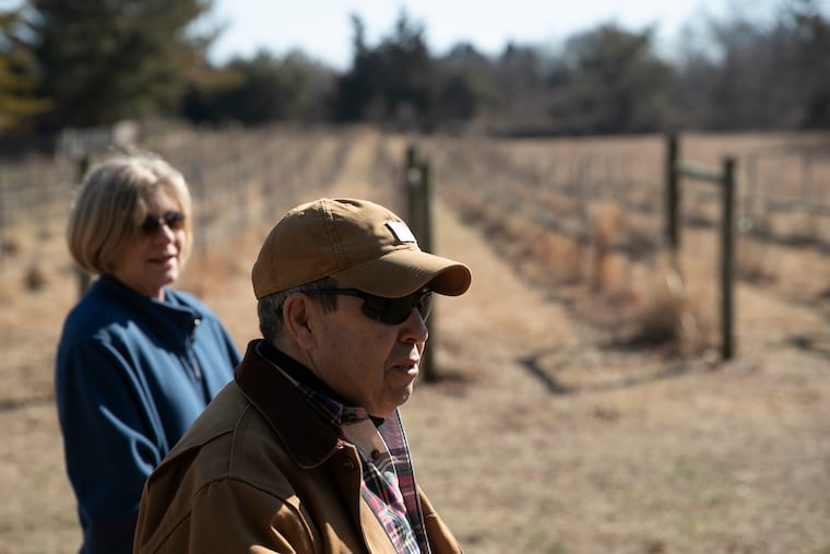 Robin and Michael Halpern stand among their vineyard rows on their property in Marmora, N.J., on Wednesday, Feb. 9, 2022. Neighbors and the township are upset about their plans to open what they want to call the Ocean City Winery and are trying to stop them.