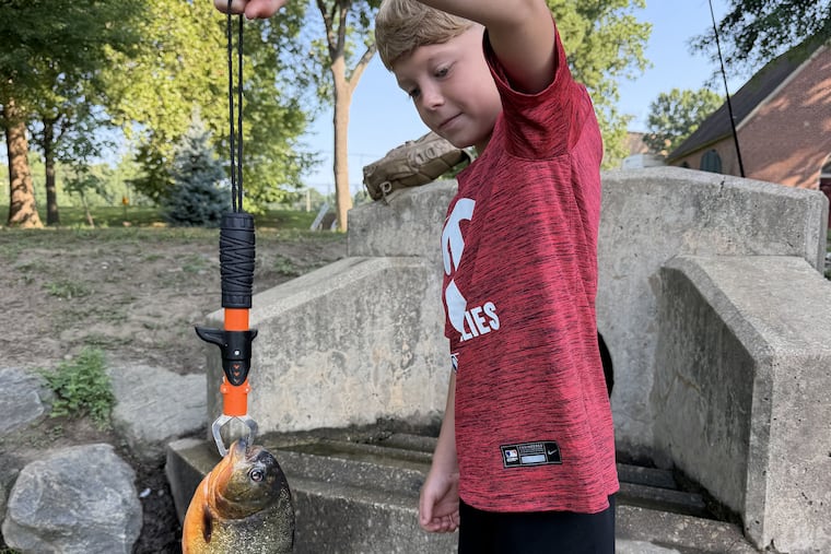 Seamus Coffey, 8, holds up his recent catch — a piranha — at Ridley Park Lake earlier this month.
