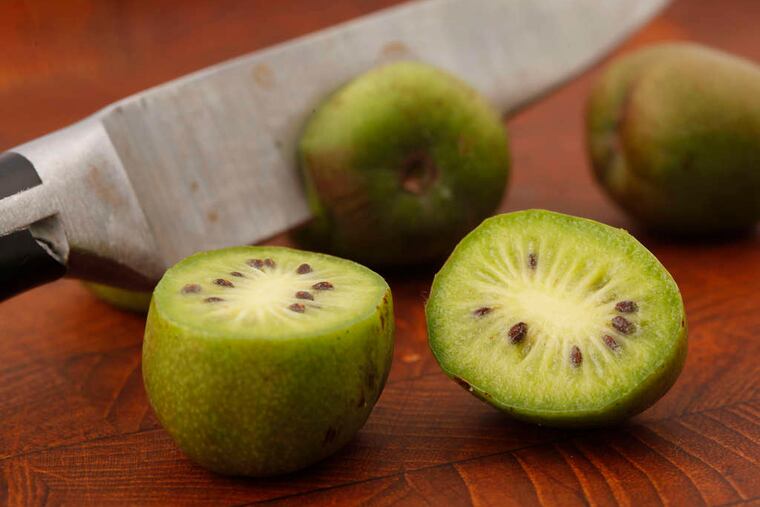 One gastroenterologist "prescibes" two kiwis a day to her patients who suffer gastric symptoms. MICHAEL S. WIRTZ / Staff Photographer