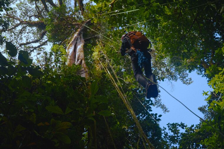 A still from "Between Earth & Sky," directed by Andrew Nadkarni. The short documentary screens at the Philadelphia Film Festival this week.