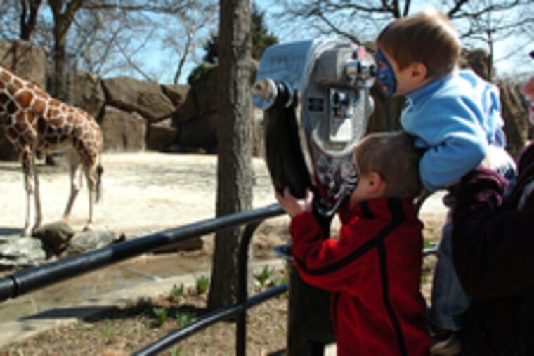 Jaime Gordon of Lafayette Hill with sons Cameron, 2, and Drew, 4, visit the giraffe exhibit. New of Puzzles' death saddened them.