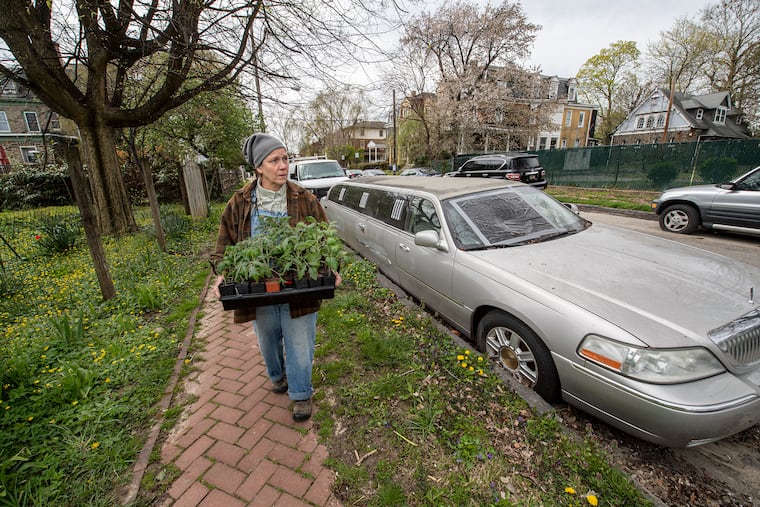 Claudia Ginanni walks past an abandoned limousine parked next to Hansberry Street Garden in Germantown, last week. The limo has been abandoned for months.