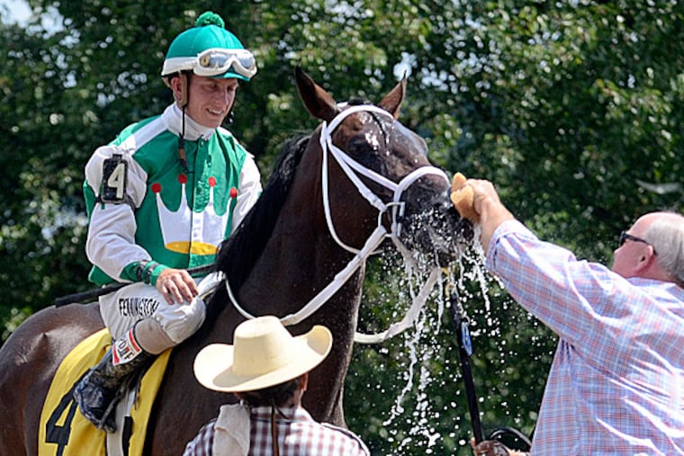 Trainer Butch Reid gives water to the horse Charlie Manuel, named after the former Phillies manager, with jockey Frankie Pennington after winning his first race. (Tom Gralish/Staff Photographer)