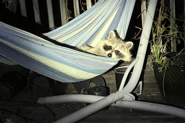 "Paint me like one of your French girls."